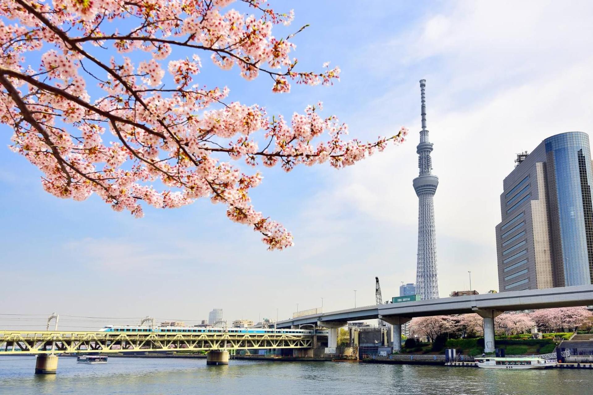 Honeys * Tokio